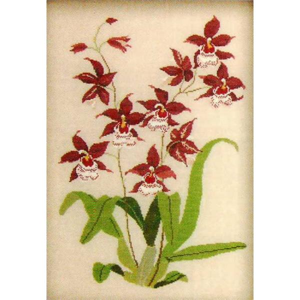 t NXXeb` hJLbg yORCHID, RED  zԂƎ؁@f}[N AイLbg