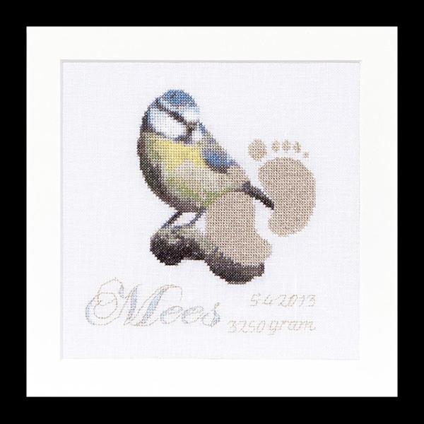 �e�A�@�O�[�x���k�[���@�h�J�L�b�g�i�A�C�[�_�j �yBirth Sampler Mees�z�����ҁ[�㋉�Ҍ��� �������񂹃L�b�g�i�[����30-90�����x�j
