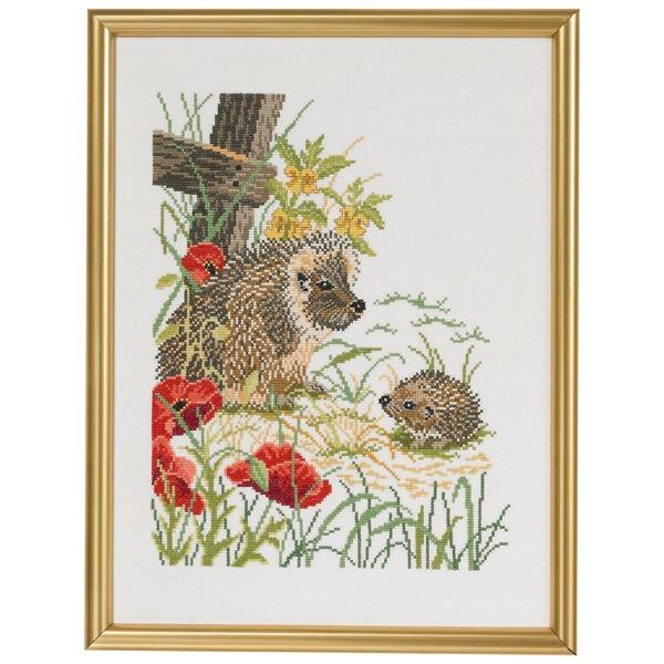 Hedgehogs and poppies