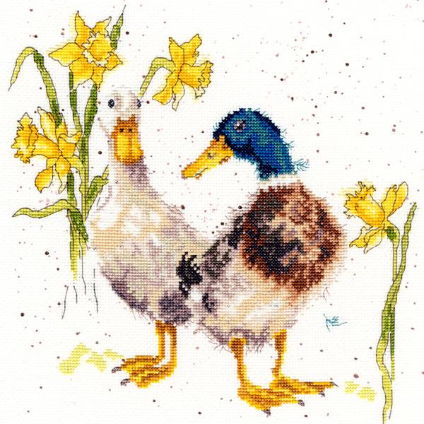 Bothy ThreadsNXXeb` hJLbg yDucks And Daffs z  CMX
