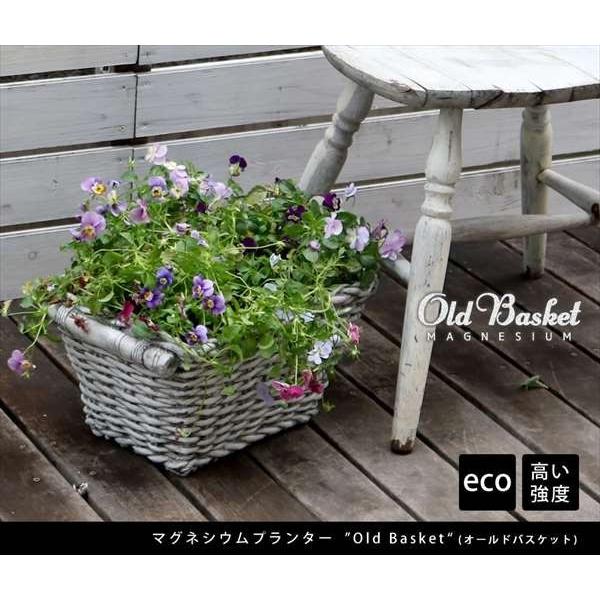 }OlVEv^[ Old Basket I[hoXPbg