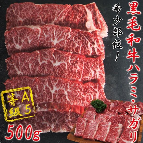 јaA5~n~TK500 ① 󏭕 ~Jr Ya ē ͂ 