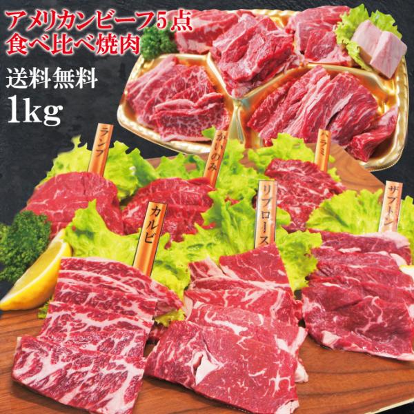 お中元 夏ギフト プレゼント送料無料 嬉しいプレゼントにも牛肉焼肉カルビ食べ比べ５点盛り合わせ　2セット同時購入で肉500ｇ増量中　サーロイン霜降り