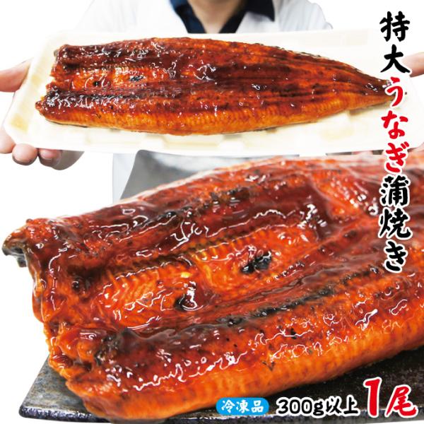 特大うなぎ蒲焼き300ｇ以上冷凍　中国産　土用の丑の日 国産に負けない肉厚 鰻重