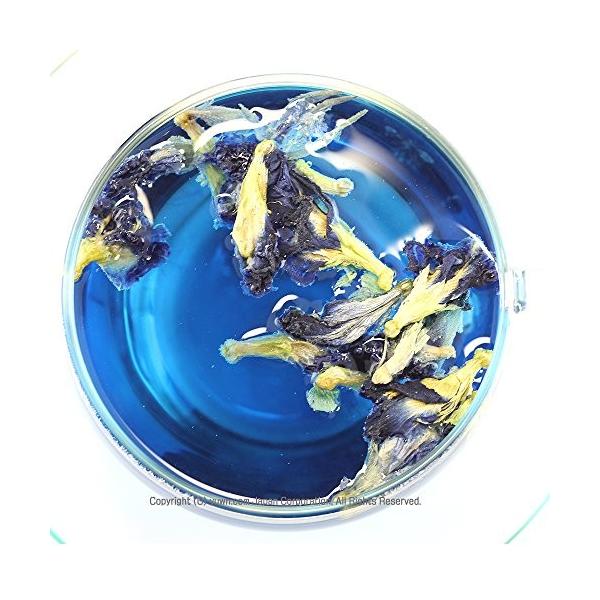 バタフライピー 青いお茶 青いハーブティー アンチャン茶 蝶豆花茶 チョウマメ茶 Butterfly Pea