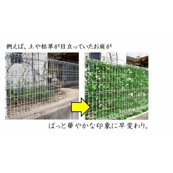 目隠しグリーンフェンス 1 3m ダークグリーン 簡単取り付け 日よけ グリーンカーテン フェイクグリーン 生垣 リアル おしゃれ ダントツonline Yahoo 店 通販 Yahoo ショッピング