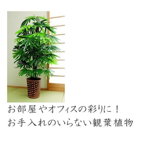 観音竹 フェイクグリーン 人工観葉植物 和風 大型 風水 厄除け おしゃれ 和室 お手入れ不要 福をかき集める 引っ越し祝い プレゼント バンブー Buyee 日本代购平台 产品购物网站大全 Buyee一站式代购 Bot Online