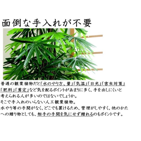 観音竹 フェイクグリーン 人工観葉植物 和風 大型 風水 厄除け おしゃれ 和室 お手入れ不要 福をかき集める 引っ越し祝い プレゼント バンブー Buyee Buyee 提供一站式最全面最專業現地yahoo Japan拍賣代bid代拍代購服務 Bot Online