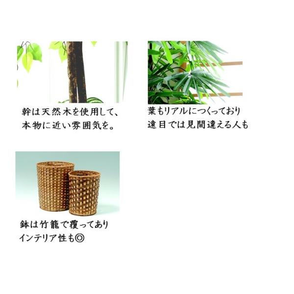 観音竹 フェイクグリーン 人工観葉植物 和風 大型 風水 厄除け おしゃれ 和室 お手入れ不要 福をかき集める 引っ越し祝い プレゼント バンブー Buyee Buyee 提供一站式最全面最專業現地yahoo Japan拍賣代bid代拍代購服務 Bot Online