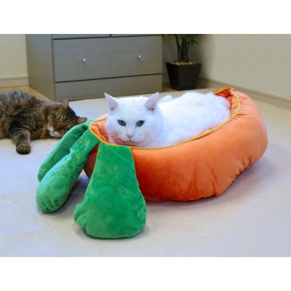 L xbh  Lbg\t@ xbh 킢 Lbg LObY Lp\t@   ybgpi Lp