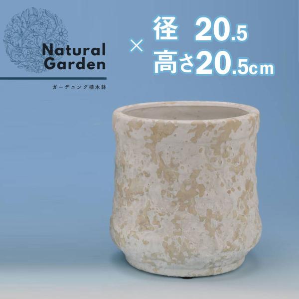 Aؔ  k 20cm AeB[N i` fUC 킢 g 둢  Vv ϗtA O K[f K[fjO |