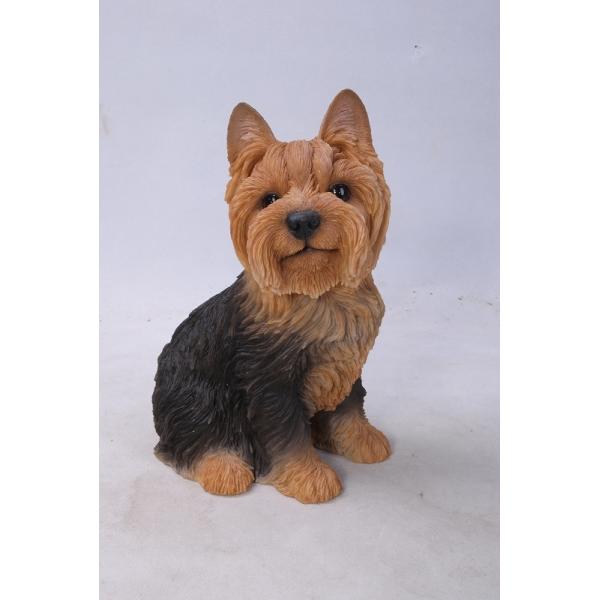 K[fI[ig [NV[eA  A u  킢   { IuWF  K[fjO  O K[f}XRbg