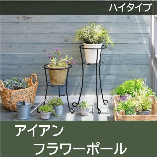 t[X^h v^[ X^h bN ACA X`[   fR[V k 킢 Vv K[fjO 