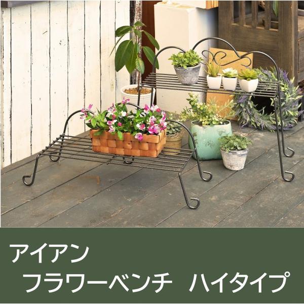 t[X^h v^[ bN ACA X`[  VFt k 킢 Vv K[fjO 