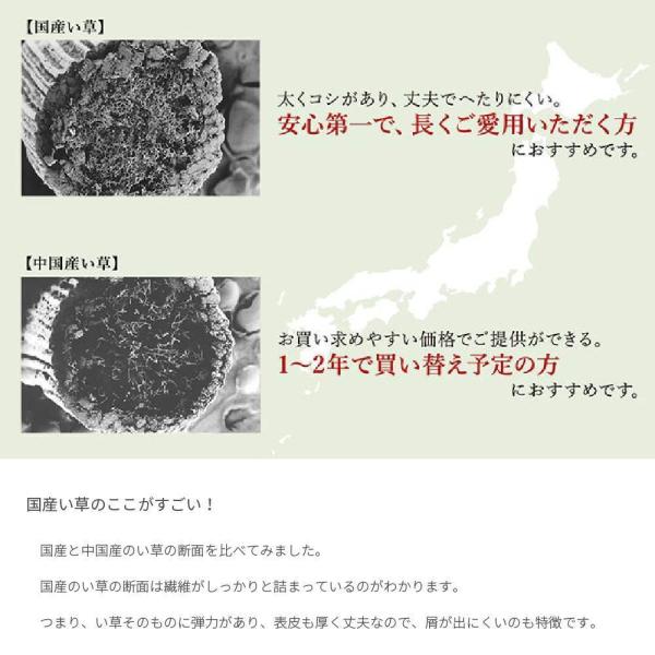 一部予約 ウレタン 日本製 長方形 3畳相当 191 250cm Rays ラグ い草 滑りにくい カーペット リビング 防臭 抗菌 ナチュラル ブラック 和モダン モダン シンプル 北欧 カーペット ラグ カラー ナチュラル Www Koopeenurn Nl