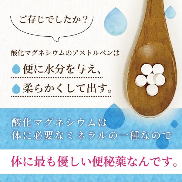 便秘 便秘薬 便秘解消 マグネシウム アストルベン錠 下剤 効果 下痢 吹出物 肌荒れ 排便 腸内環境 快便 第3類医薬品 400錠 Buyee Buyee 日本の通販商品 オークションの代理入札 代理購入