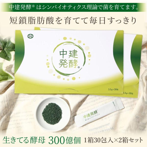 酵母食品　中建発酵 30包×2箱セット