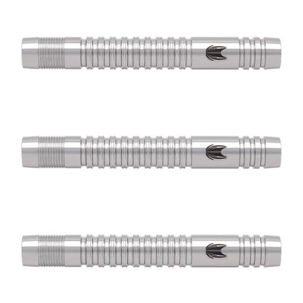 ターゲット ディミトリ・ヴァン・デン・バーグモデル G2 2BA 21g dartscountup_0107813007193