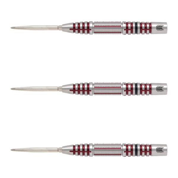 TARGET(^[Qbg) HEMA 02(q[}02) SWISS POINT STEEL 21g 190124@(_[c o _[cZbg)