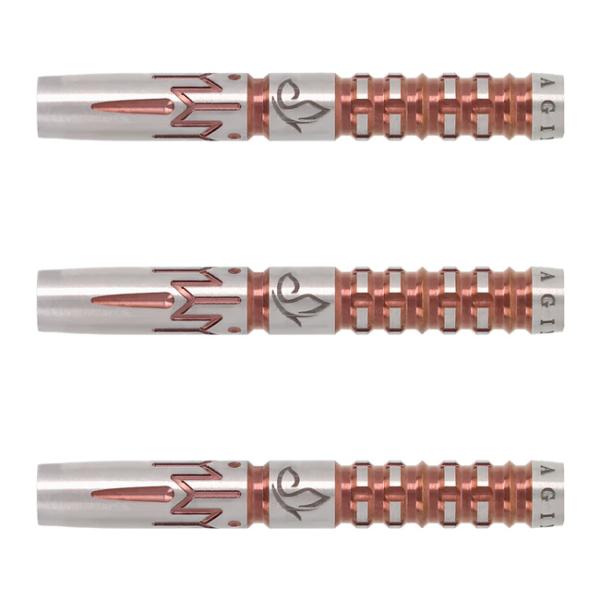 Imagine Darts(イマジンダーツ) Yin Spire 2BA ソック・イン選手モデル (ダーツ バレル ダーツセット)