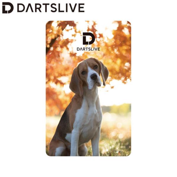 DARTSLIVE DART TOURISM DARTSLIVEカード ダーツ DARTSLIVE CARD ライブカード ダーツライブカード 55-4