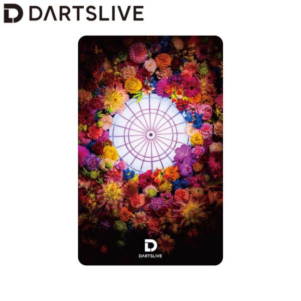 新品未開封 DARTSLIVE  ダーツ DARTSLIVE CARD ライブカード ダーツライブカード 56-1