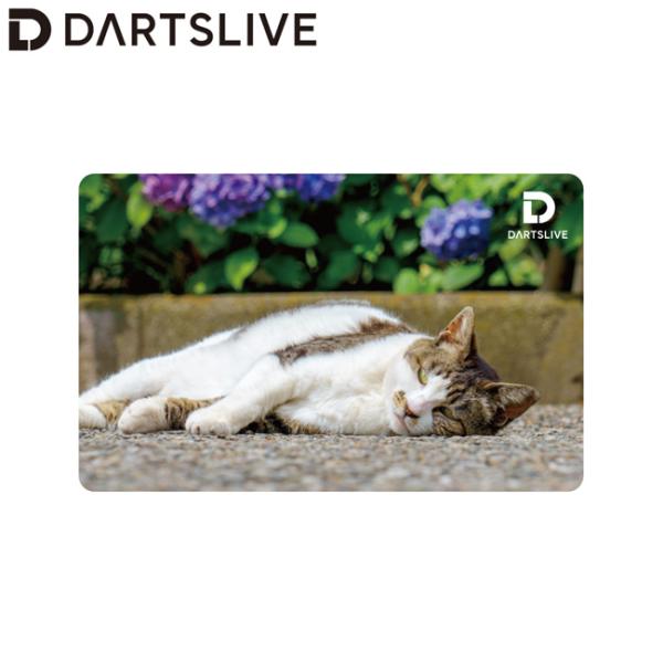 DARTSLIVE CARD #060 ＜07＞　(ダーツ カード)