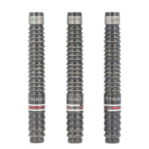 中古 Used ダーツ】 TRiNiDAD(トリニダード) Undisputed Gomez Type14