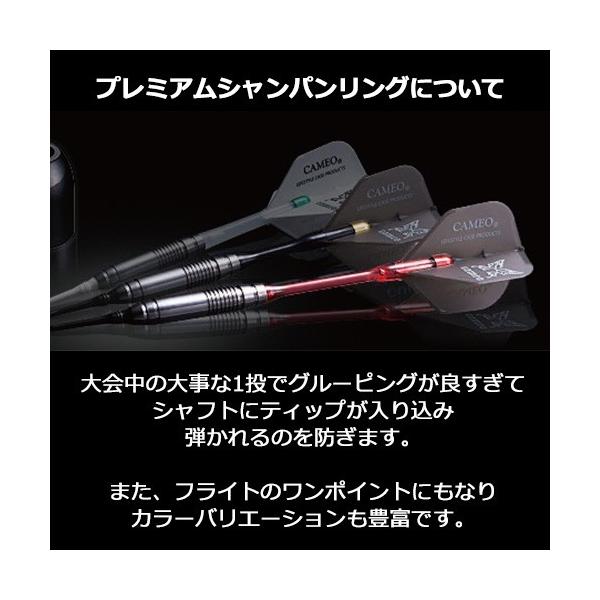 dartsshoptito_ac-ls5-_5
