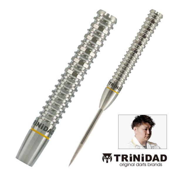 ダーツ SATSUKI FUJIWARA STEEL DARTS Satsuki Fujiwara Steel Darts