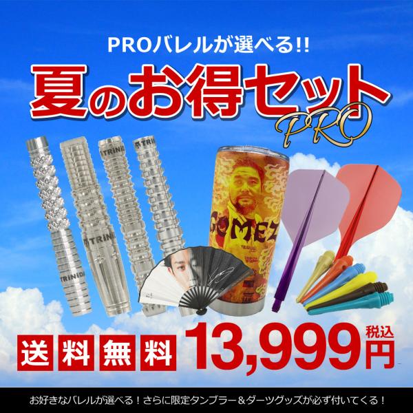 TRiNiDAD 【数量限定】ダーツ セット PROバレルが選べる夏のお得