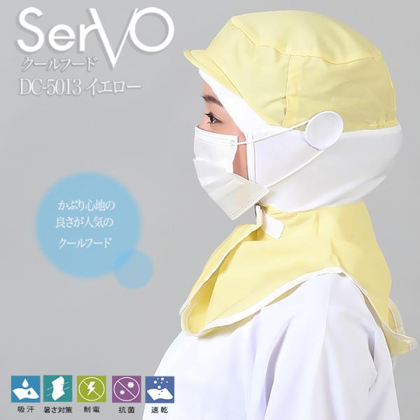 qXq P[vtHiHXq nTbv N[t[h CG[ qXq jp sarvo T[H DC5013   i R hL d z jp