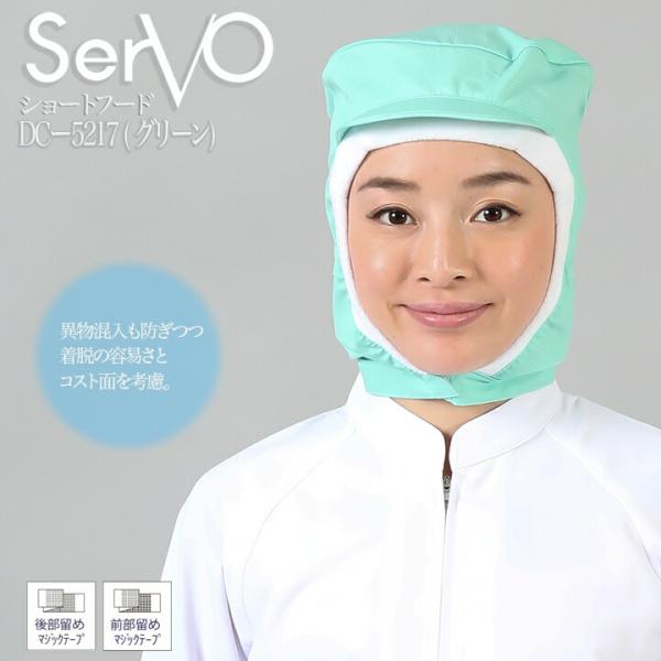 qXq HiHXq V[gt[h O[ jp sarvo T[H DC5217   i R hL d z jtH[