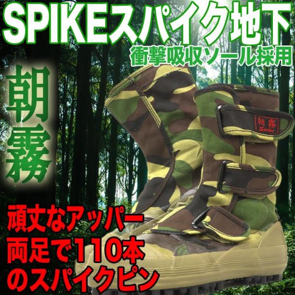 XpCNV[Y   I-881 I-88 n ʕ h XpCNt