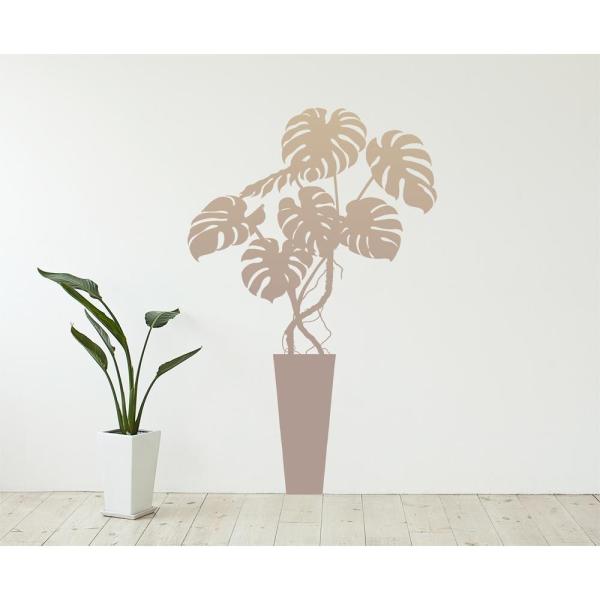 東京ステッカー ウォールステッカー 転写式 モンステラ ベージュ 正規店 Mサイズ Ts 0003 Dm