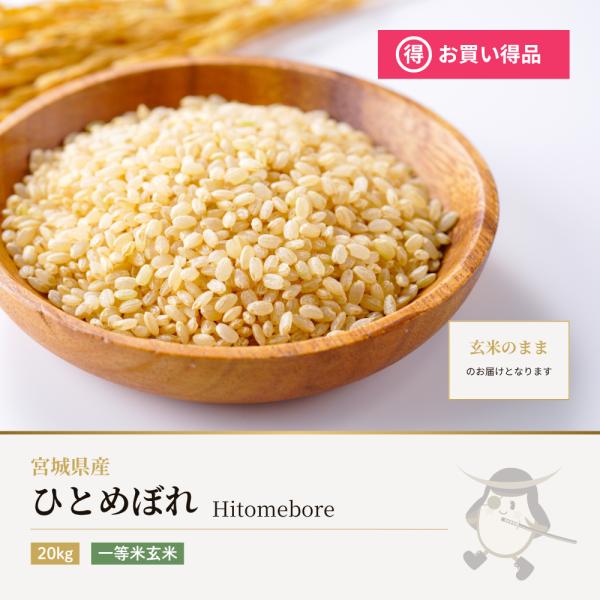 農家直送！！令和7年度　ひとめぼれ玄米　 20kg ひとめぼれ 玄米 20kg 宮城県産 令和7年産 : 伊達の蔵出し本舗-お米の