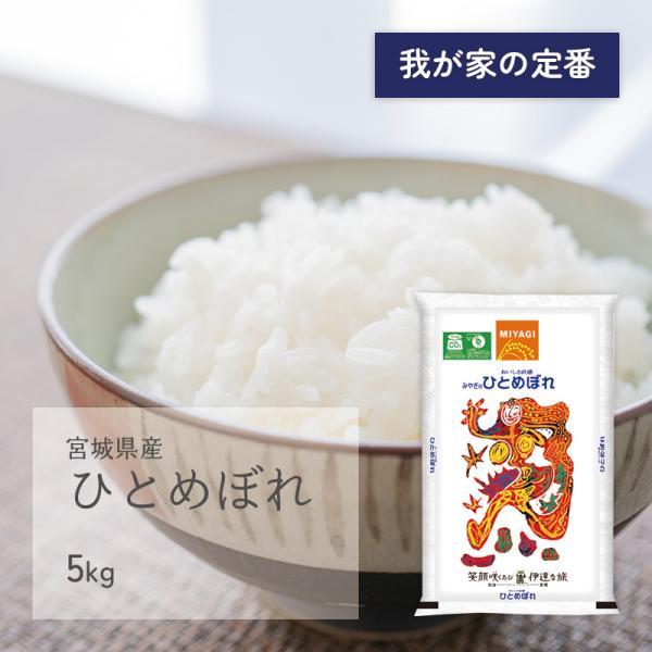 みどりオレンジさん専用たろうのひとめぼれ キザクラ 17Kz GTR (オレンジ/L/2B) / 全層水平ウキ