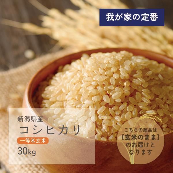 新潟県産 コシヒカリ 30kg - 玄米の人気商品・通販・価格比較 - 価格.com