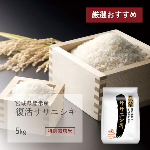 datekura-takumi_dk-tmtfss-5k 