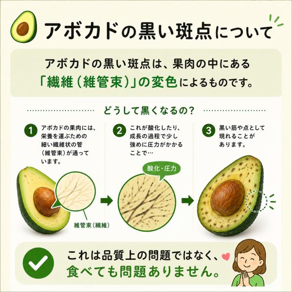 �A�{�J�h Avocado 10�� ���L�V�R�Y 1��150�O�����O��@���e ���N �t���[�c �M�t�g ���蕨 �X�C�[�c �v���[���g ���َq ���j�� ���i�摜2
