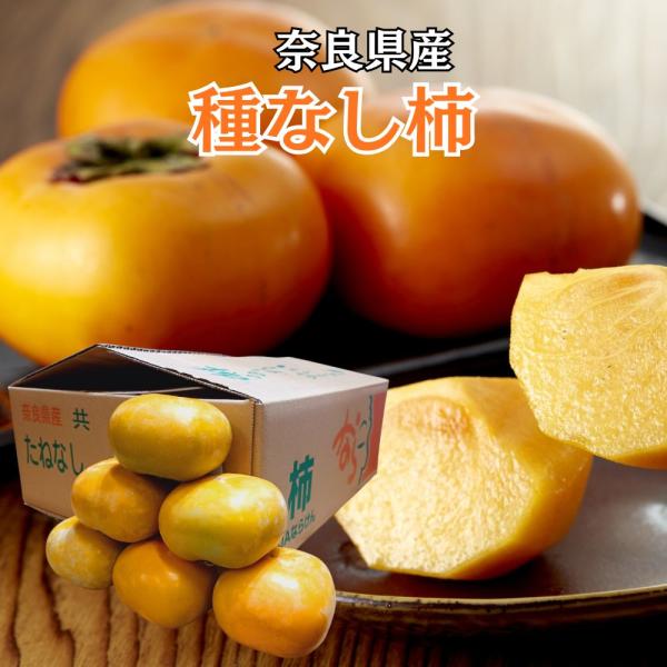 奈良産 ”たねなし柿” 刀根柿 約5~6kg 大きさおまかせ たねなし柿 ギフト 種無し柿送料無料 刀根柿 平種柿 とね柿 ひらたね柿 平核無柿