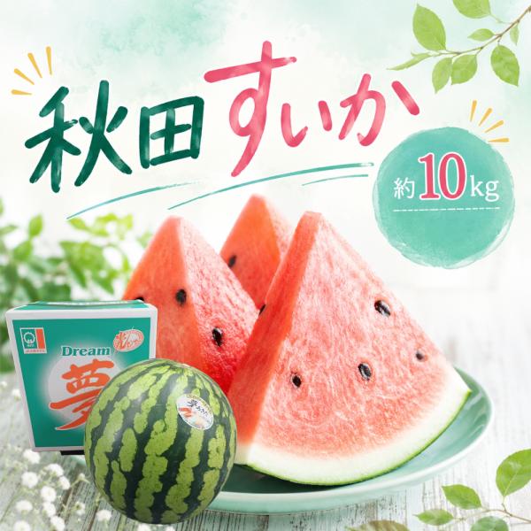 秋田県 秋田すいか 約10〜11kg クール便でお届け 大阪阪府中央卸売市場よりお届け  贈呈 フルーツ 夏 西瓜 スイカ 熱中症対策 夏 父の日 ギフト 塩分補給 夏