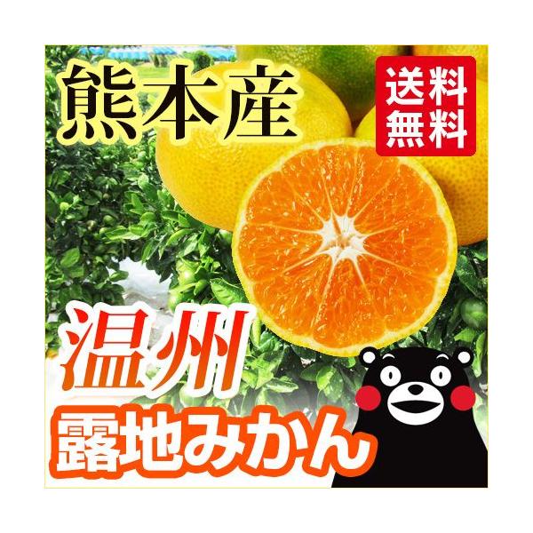 ݂  F{Y  In B Tkg     B F{  ɑ ݂ k IW h{ \ J[ { Â Y 