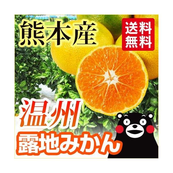 ݂  F{Y In B POkg     B F{  ɑ ݂ k IW h{ \ J[ { Â Y 