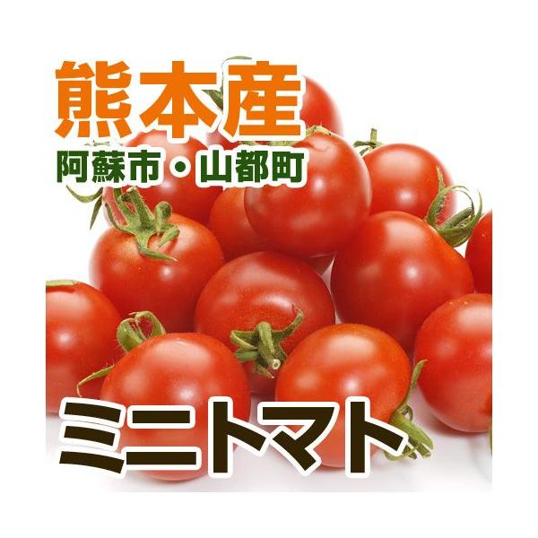 熊本産  ミニトマト 1パック （ 野菜セット と同梱で送料無料  九州 熊本 野菜 とまと ミニ プチ トマト 実野菜 ）