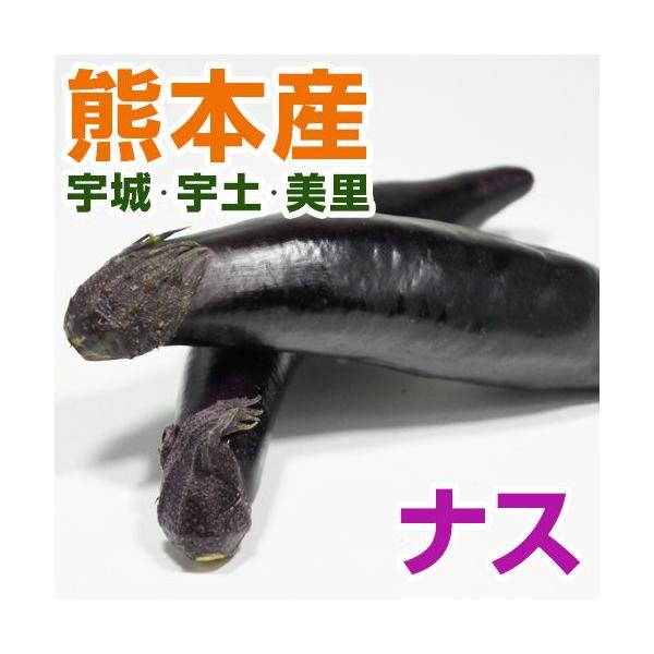 熊本産  ナス　1袋　（ 野菜セット と同梱で送料無料 ） 九州 野菜  茄子  なすび　