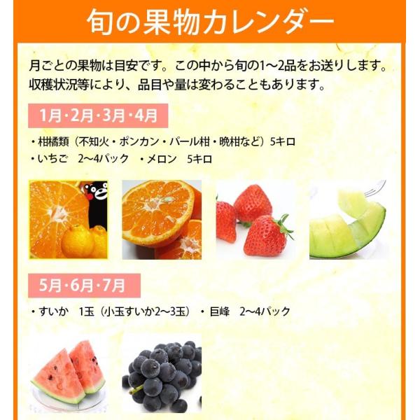 熊本産フルーツセット 旬の果物と野菜セット クール便送料無料 野菜果物盛り合わせ九州熊本ギフト母の日父の日お中元お歳暮 Buyee 日本代购平台 产品购物网站大全 Buyee一站式代购