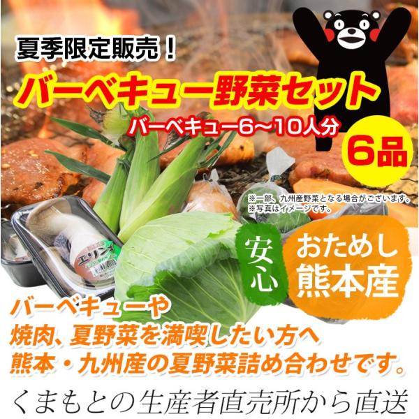 熊本産 バーベキュー野菜セット 夏季限定 クール便 送料無料 q 野菜 詰め合わせ 盛り合わせ セット 熊本 九州 食材 グルメ ご当地 スタミナ Buyee 日本代购平台 产品购物网站大全 Buyee一站式代购 Bot Online