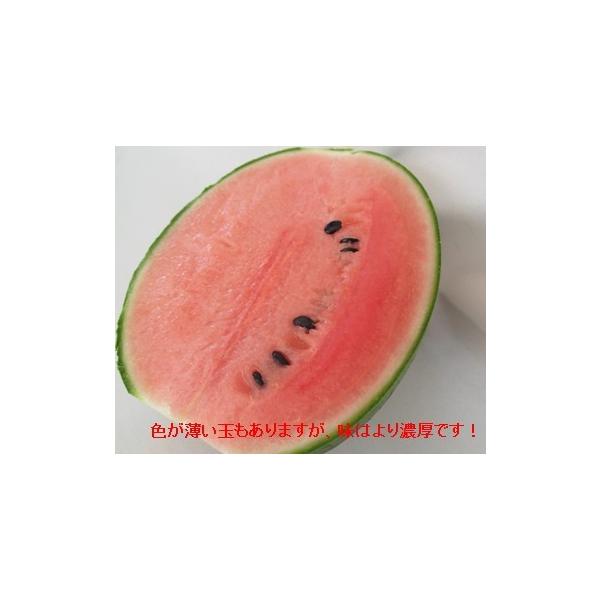 熊本産 小玉スイカ ひとりじめ 1箱 3kg前後 2 3玉入り 送料無料 九州 熊本 小玉 こだま すいか 品種 黒 甘い ギフト 母の日 父の日 お中元 Buyee Buyee Japanese Proxy Service Buy From Japan Bot Online