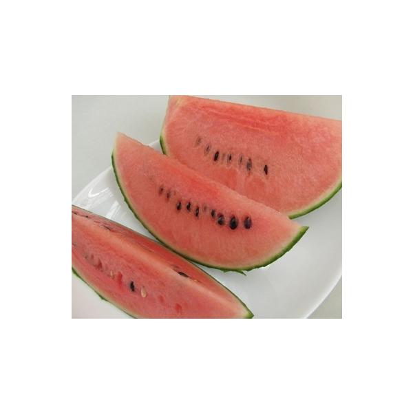 熊本産 小玉スイカ ひとりじめ 1箱 3kg前後 2 3玉入り 送料無料 九州 熊本 小玉 こだま すいか 品種 黒 甘い ギフト 母の日 父の日 お中元 Buyee Buyee Japanese Proxy Service Buy From Japan Bot Online